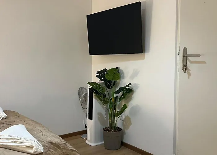 Simple Private In 3br Shared Apartment, Well Connected Location *